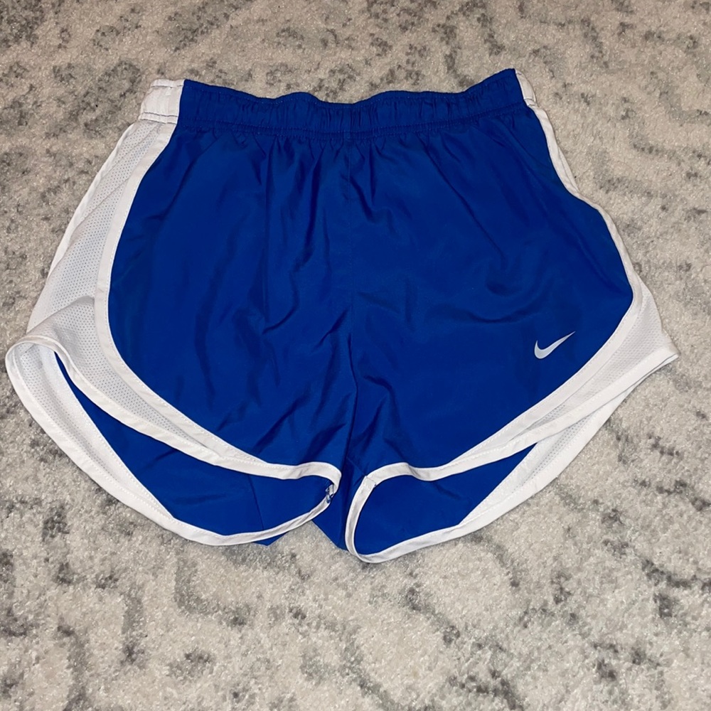 Nike Blue and White Running Shorts